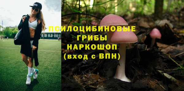 MDMA Белокуриха