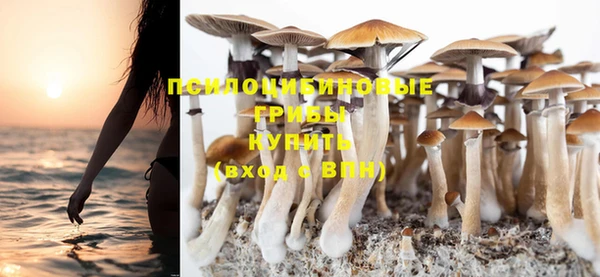гашиш Богородицк