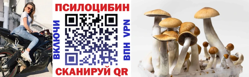 Псилоцибиновые грибы прущие грибы Волгореченск